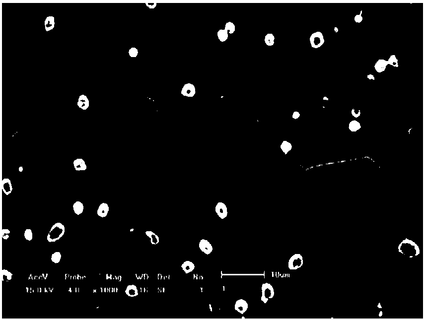 High-strength low-density hcp+bcc dual-structure magnesium-lithium alloy bar and preparation method thereof