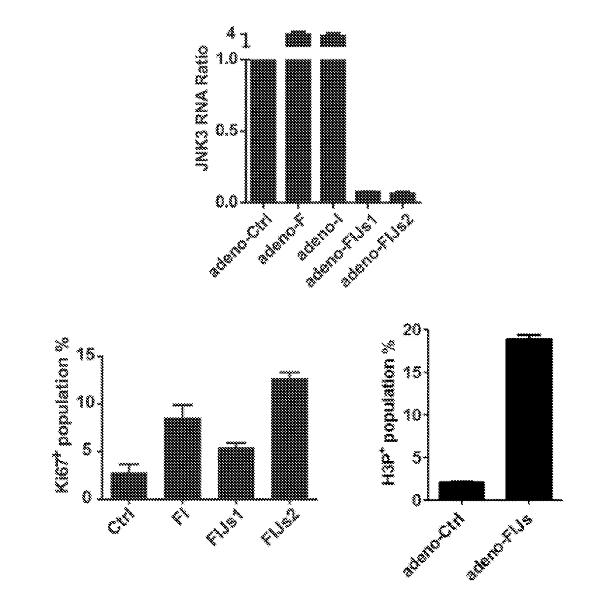 A therapeutic gene cocktail for heart regeneration