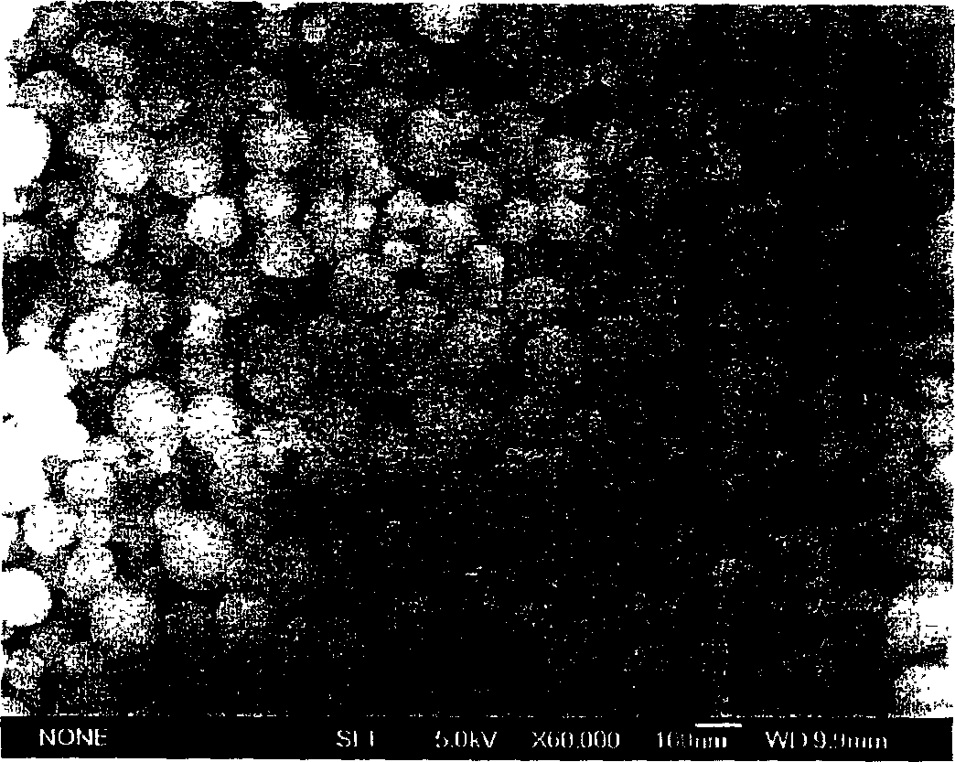 PH sensitive controllable nanometer particle carried with 5-Fu and its preparation method