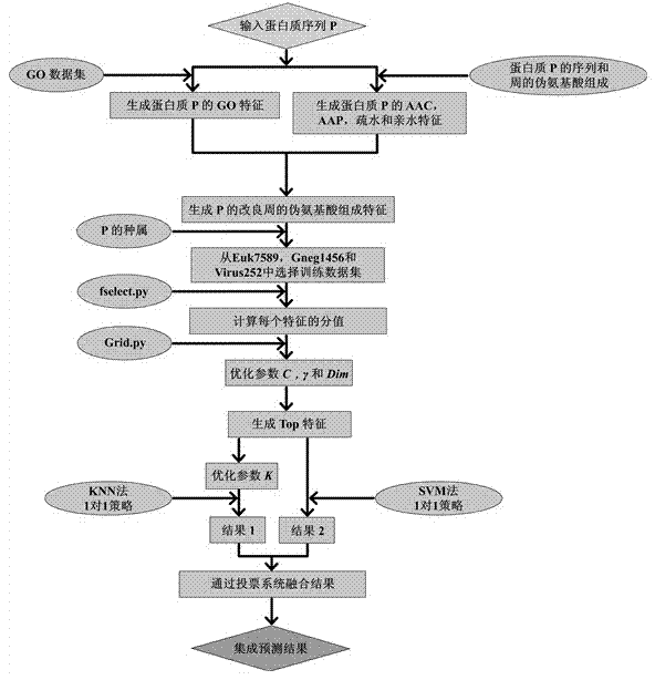 Prediction method for protein subcellular site formed based on improved-period pseudo amino acid