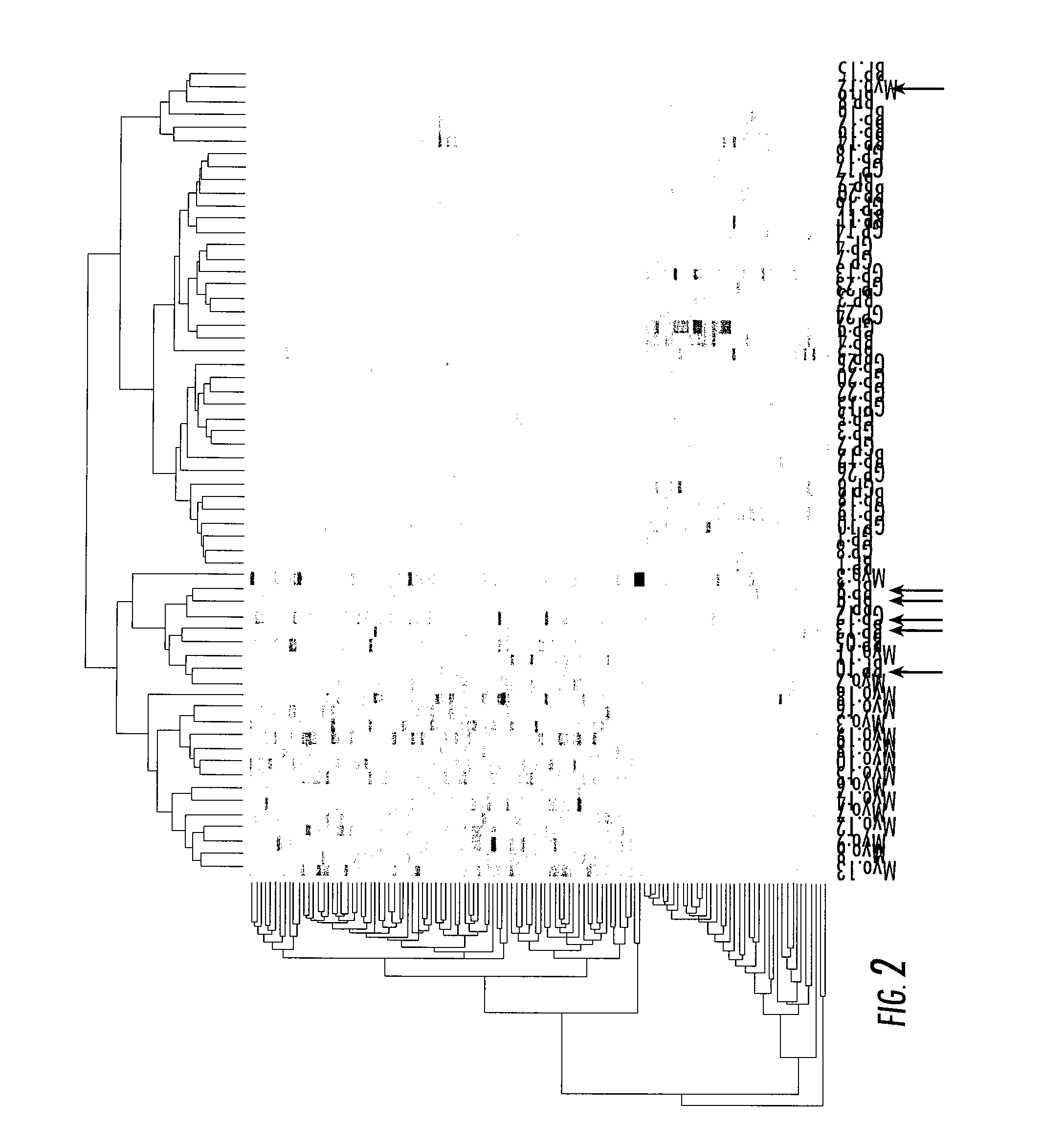 Transcriptomic biomarker of myocarditis