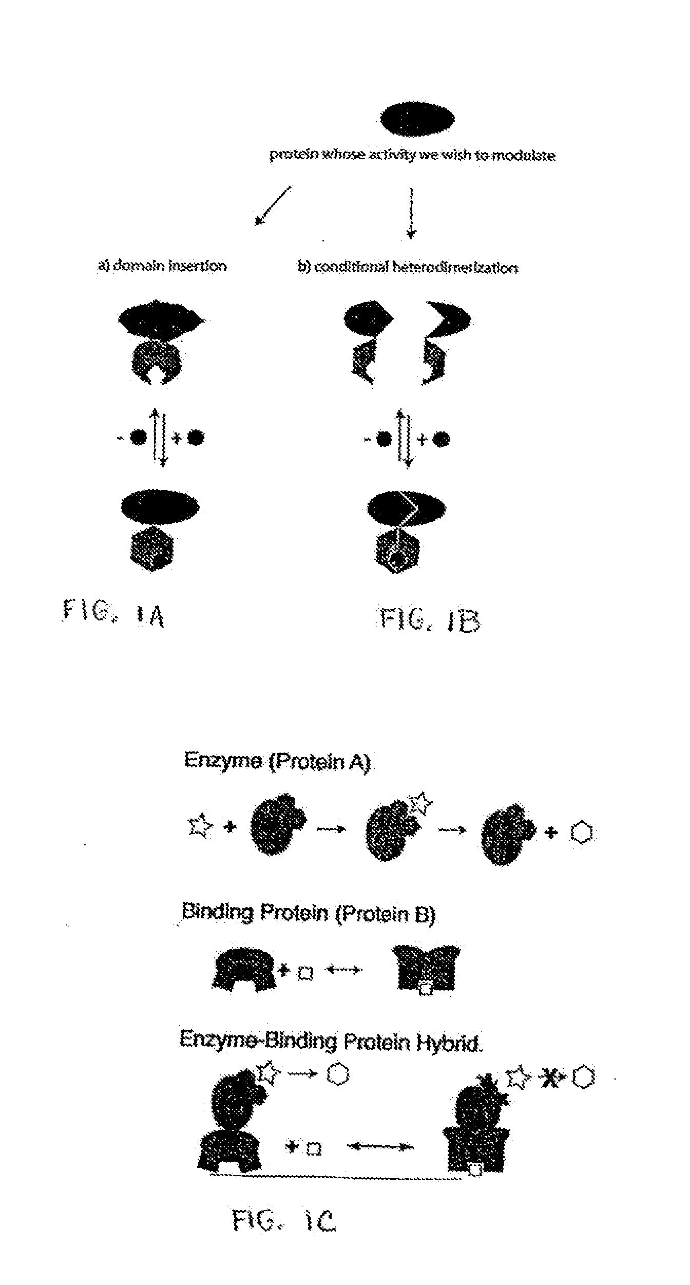 Molecular switches and methods for making and using the same
