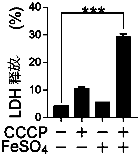 Antitumor drug composition as well as application of reagent comprising iron ions