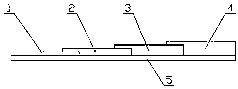 Vibrio splendidus colloidal gold immunochromatograohic assay test strip and preparation method thereof