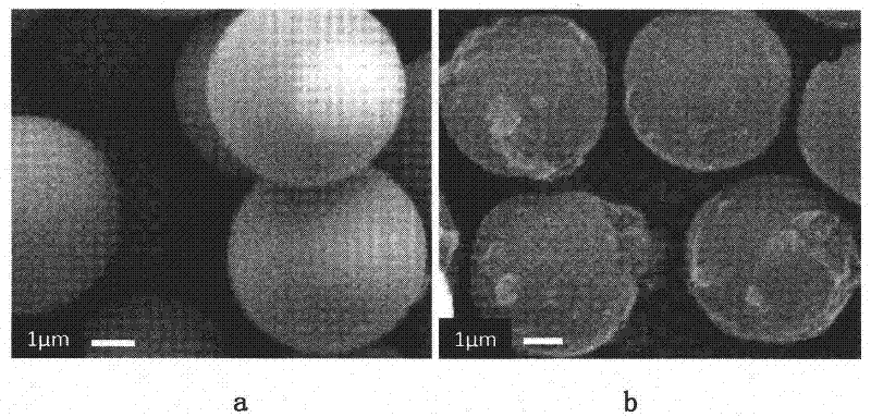 Polymer microsphere and preparation method thereof