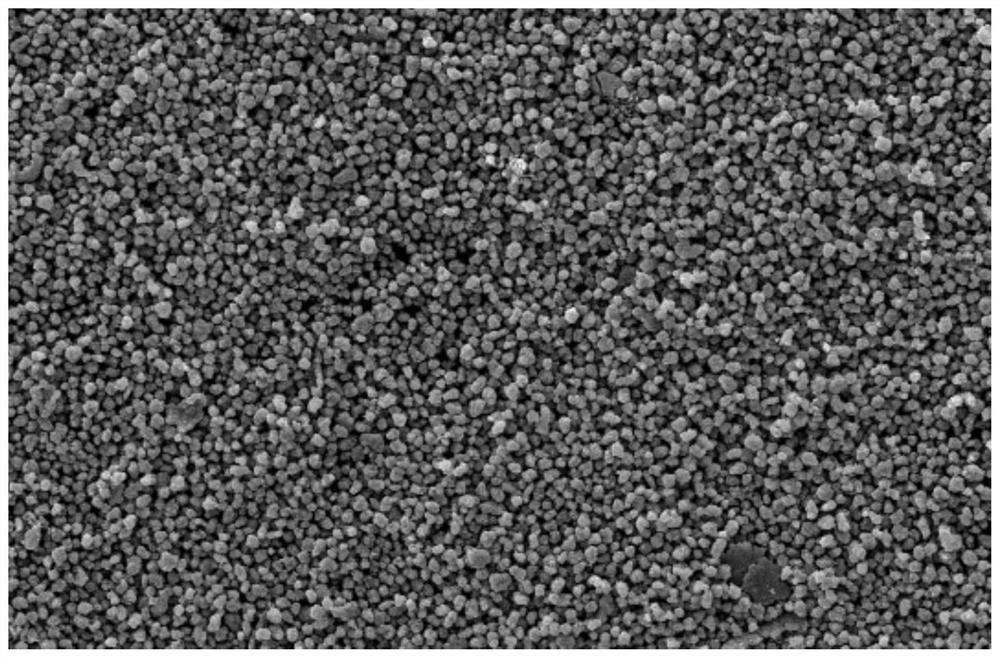 A lithium cobalt oxide positive electrode material for lithium ion batteries above 4.45V and preparation method thereof