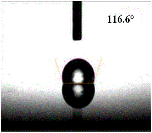 High-molecular based transmitting tissue regeneration membrane as well as preparation method and application thereof