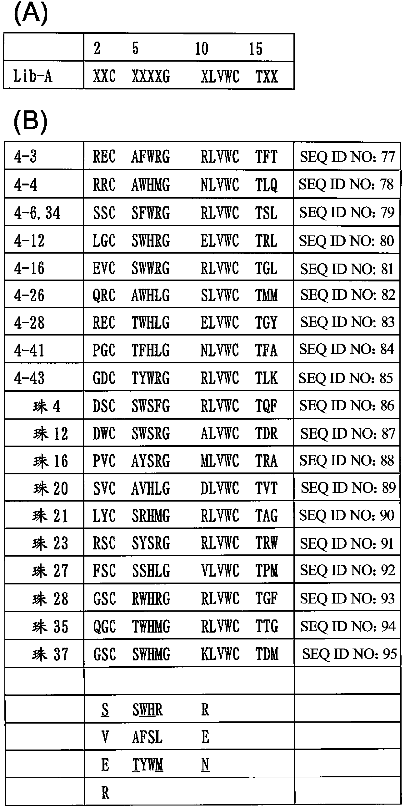 Igg-binding peptide and method for detecting and purifying igg using same