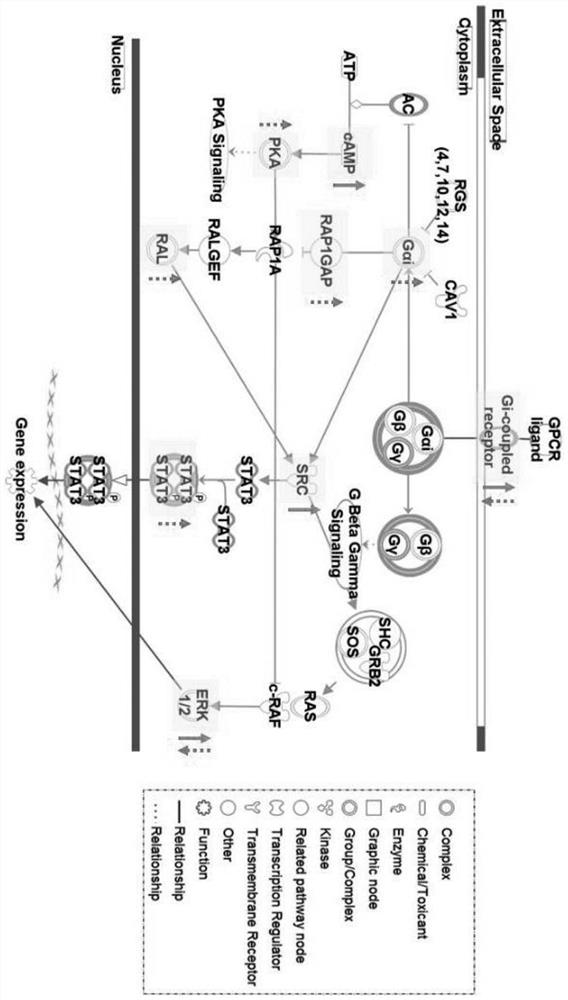 Application of Reyanning combined with antibiotics in interfering antibacterial effect against pathogenic bacteria