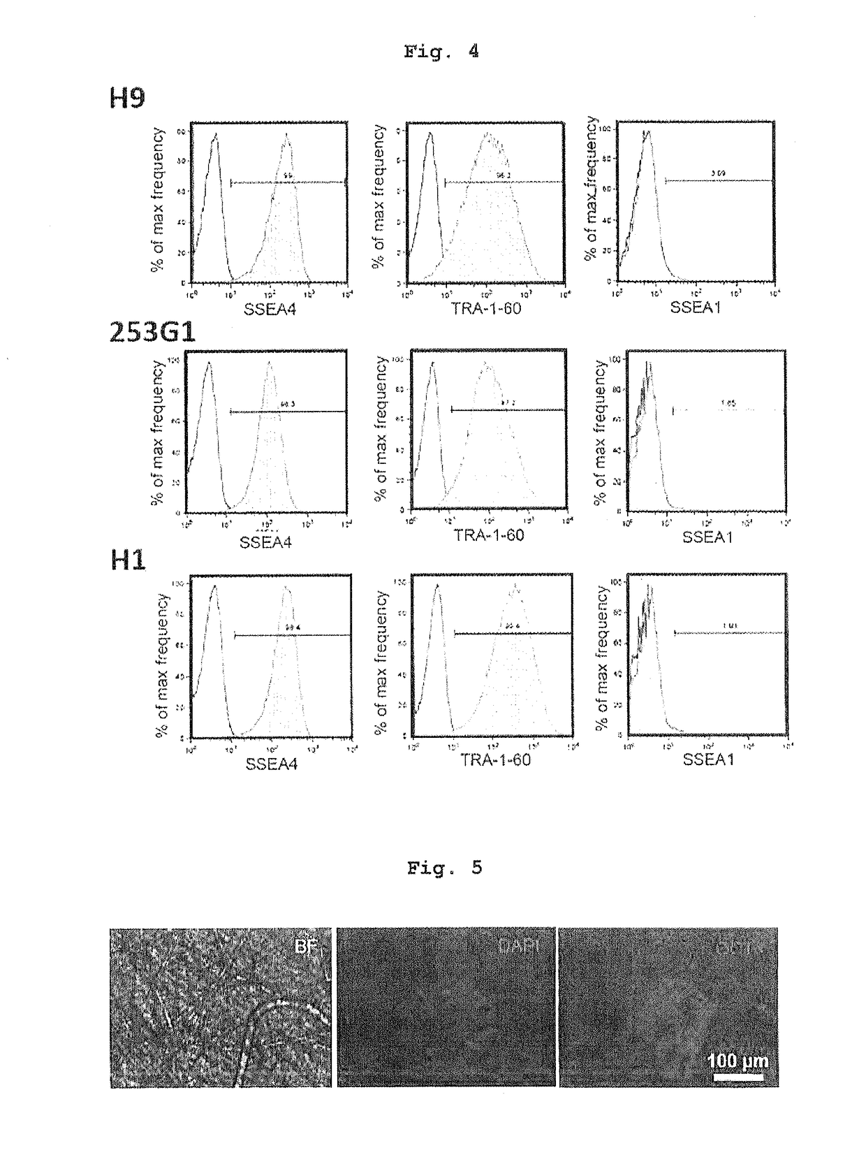 Three-dimensional culture method using biodegradable polymer and culture substrate enabling cell transplantation