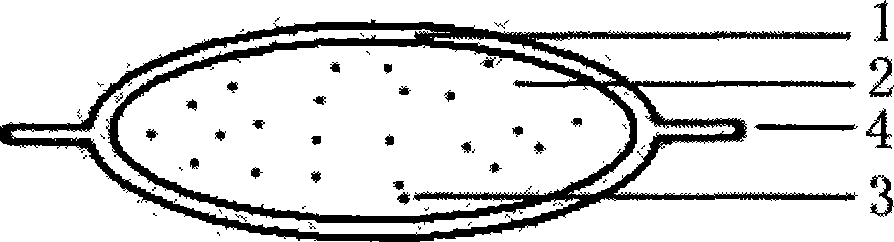 Epidural scar preventing absorbable isolationcapsule