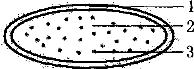 Epidural scar preventing absorbable isolationcapsule