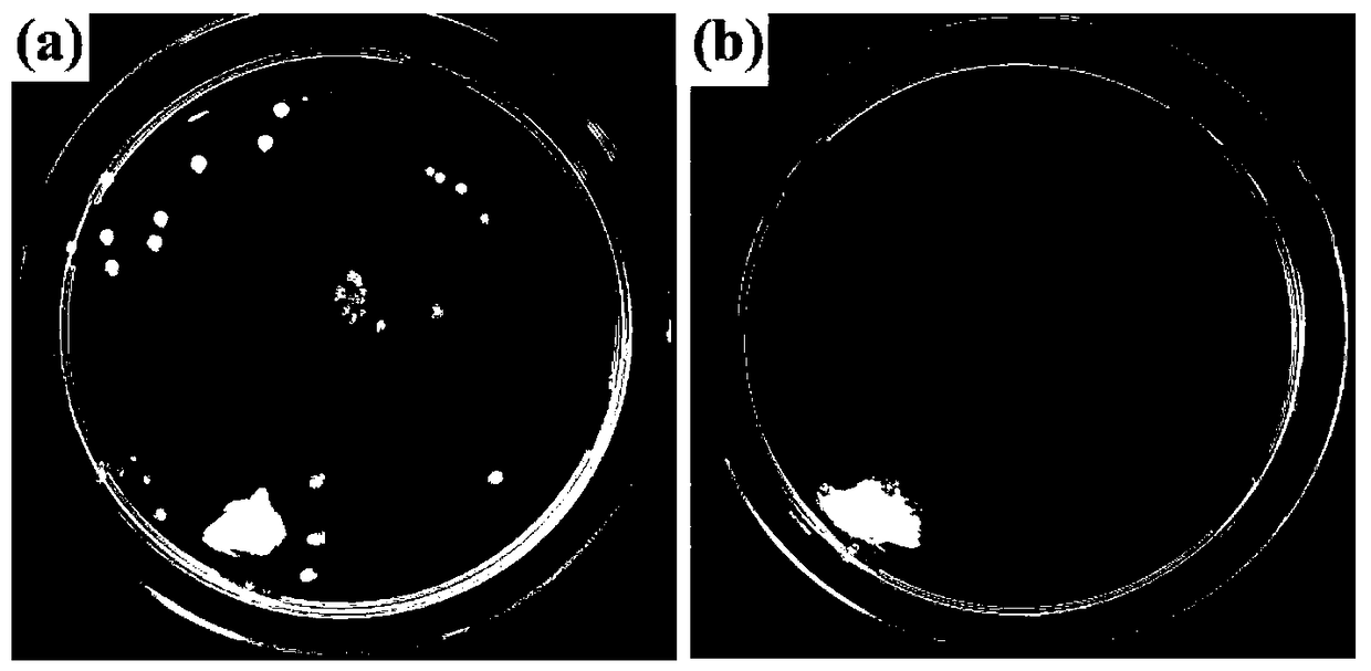 Polyethylene composite antibacterial coating containing nanometer silver particles and preparation method thereof