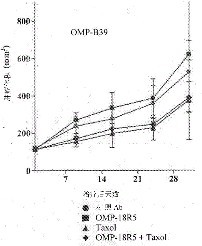 Identification of predictive biomarkers associated with Wnt pathway inhibitors