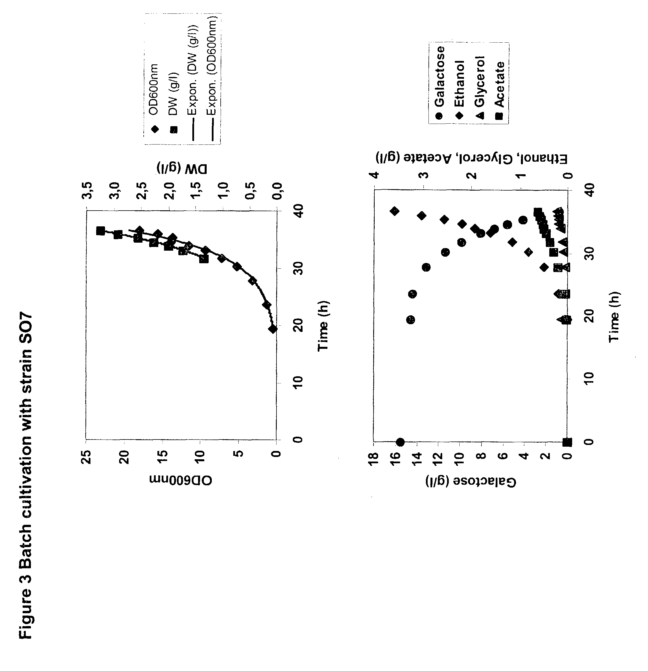 Metabolically engineered micro-organisms having improved galactose uptake