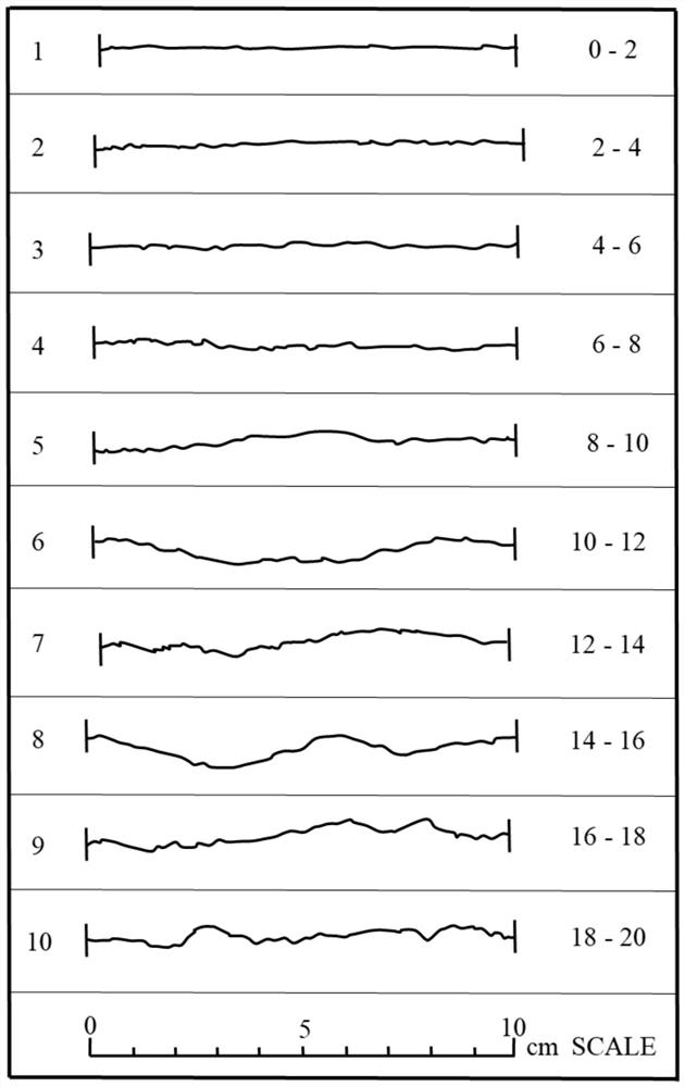 Numerical method for simulating transport process of temporary plugging agent in rough crack of hot dry rock