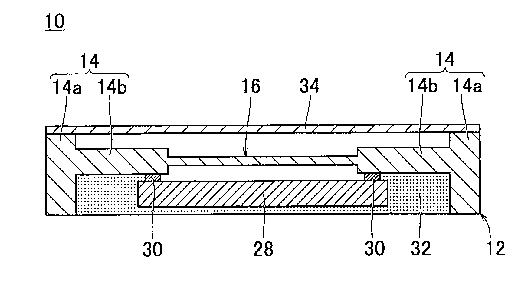 Vibrator module