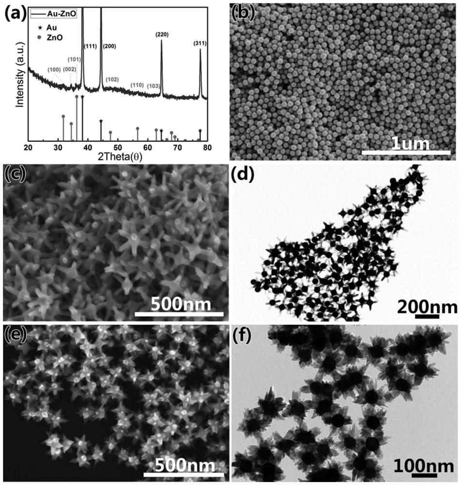 A gold-zinc oxide heterojunction nanoparticle array and its preparation method