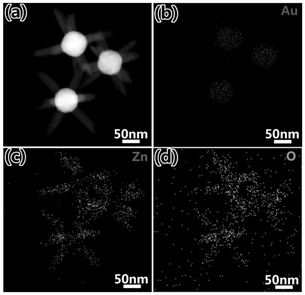 A gold-zinc oxide heterojunction nanoparticle array and its preparation method