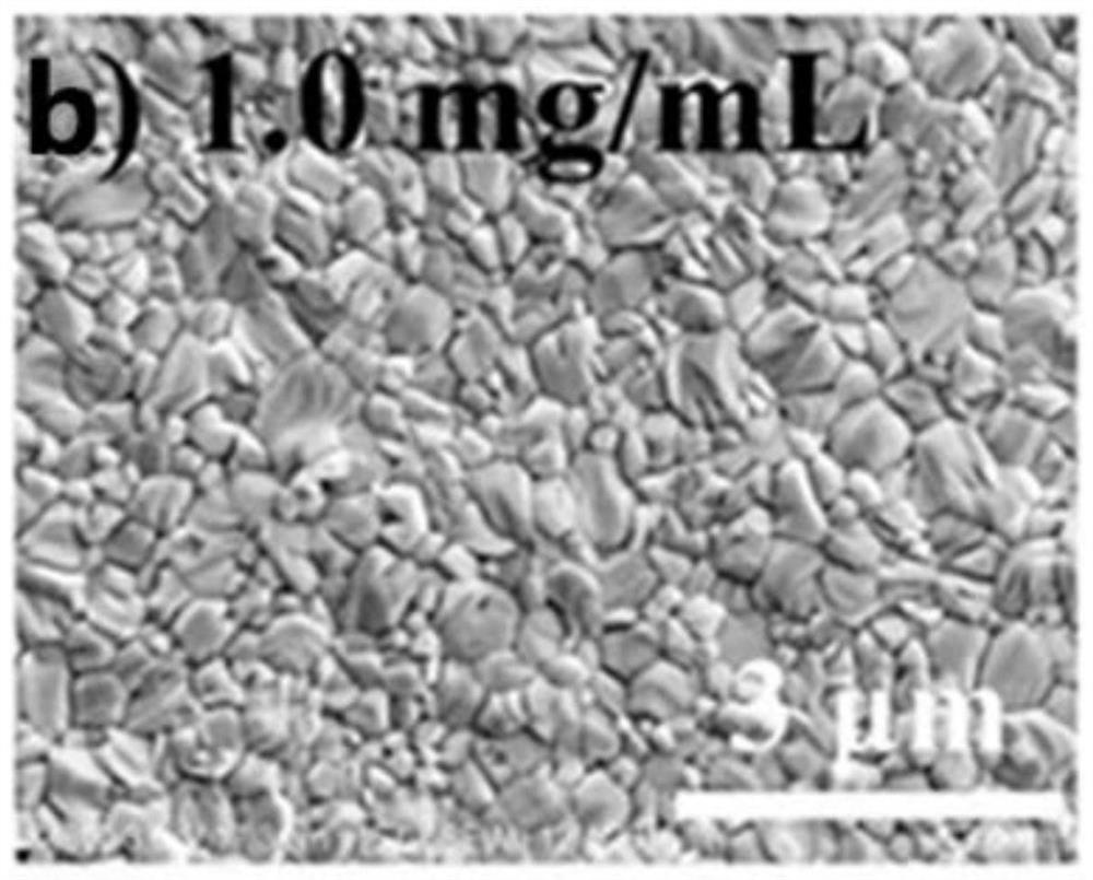 A Preparation Method for Precisely Controlling the Grain Size of Perovskite Thin Films