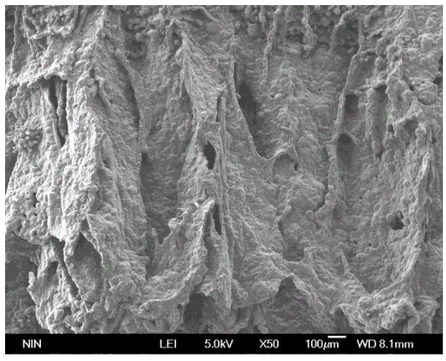 Preparation method of micro-nanofiber/ceramic matrix composite