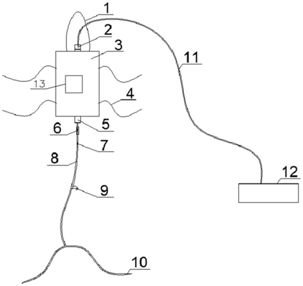 Garden tree infusion device integrating maintenance information and maintenance method