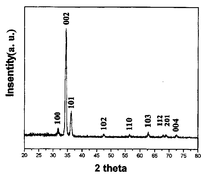 Methof for preparing 3-D orientation zinc oxide film