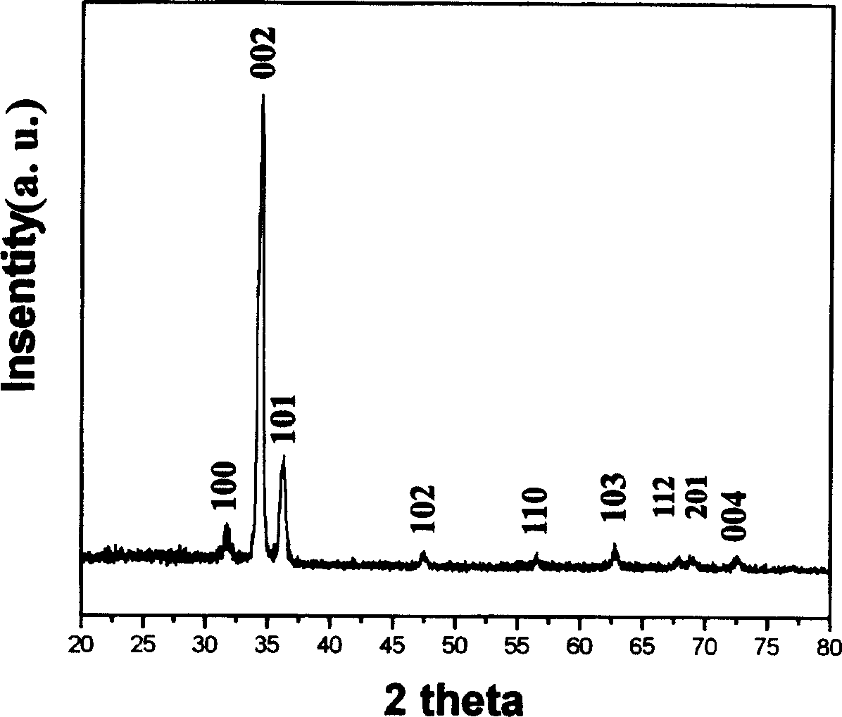 Methof for preparing 3-D orientation zinc oxide film