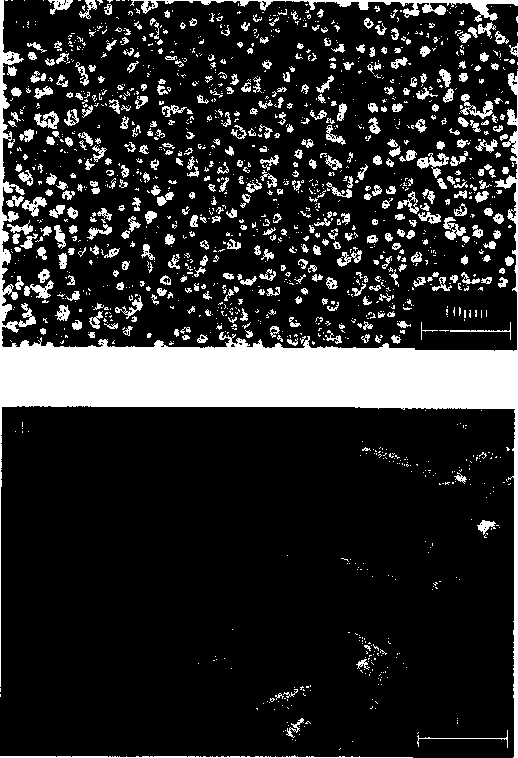 Methof for preparing 3-D orientation zinc oxide film