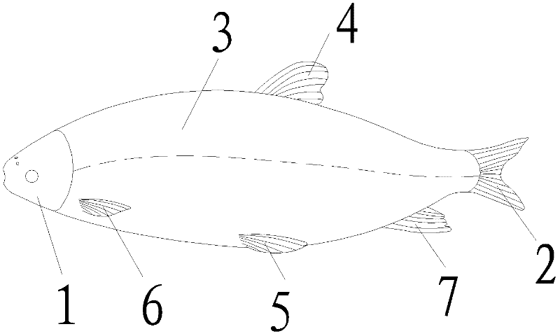 Grass carp cutting treatment method