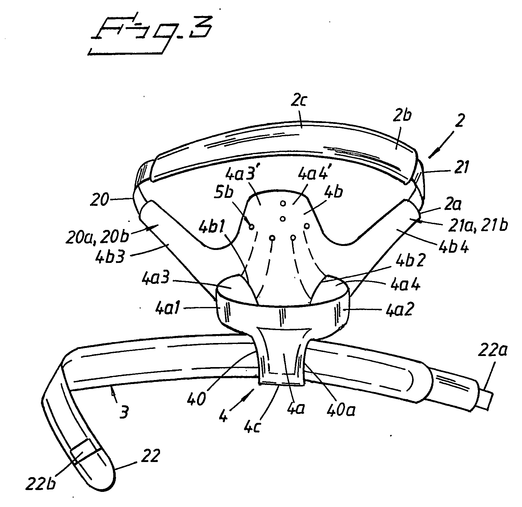 Harness for carrying