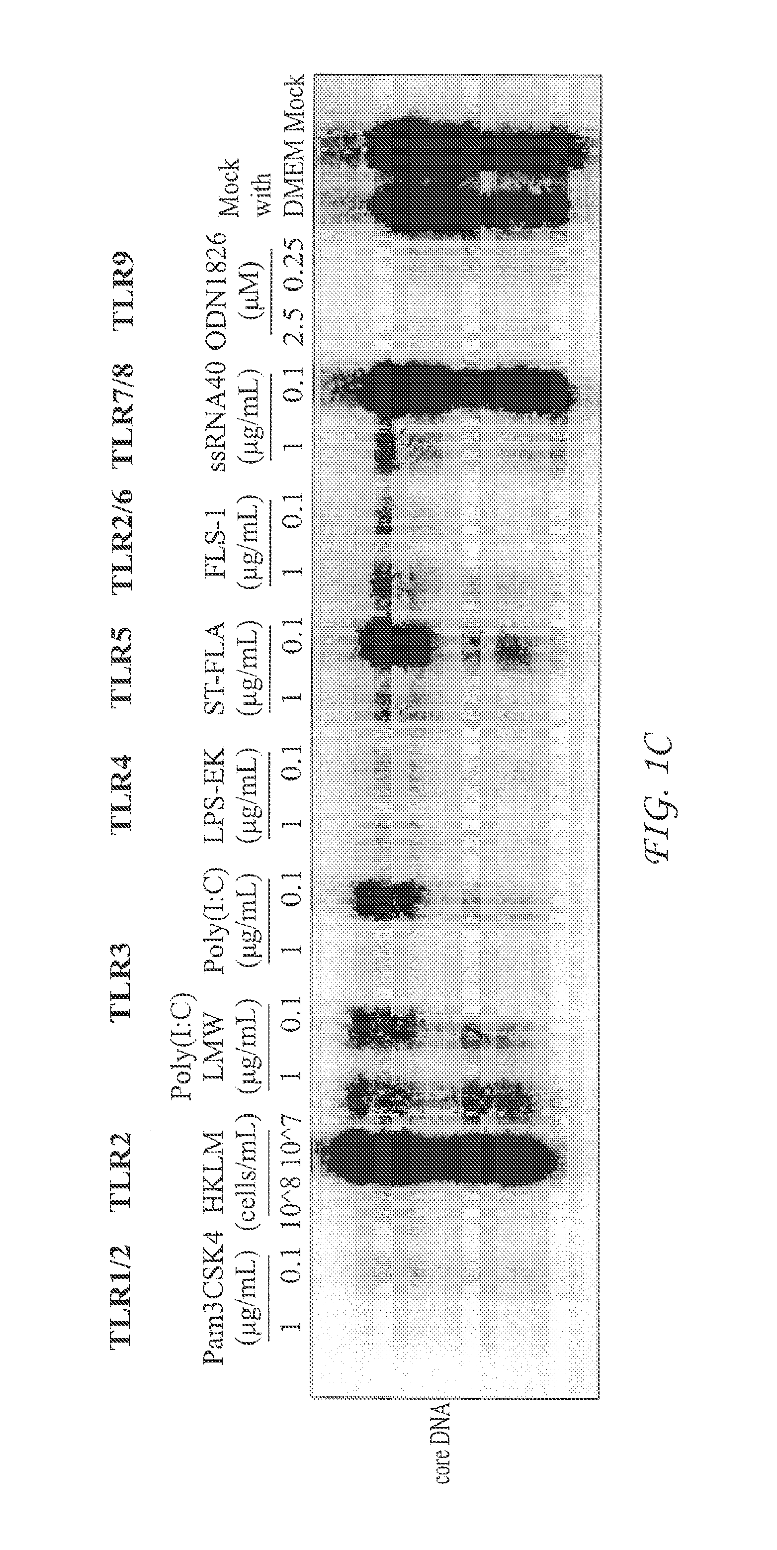 Use of sting agonists to treat hepatitis b virus infection