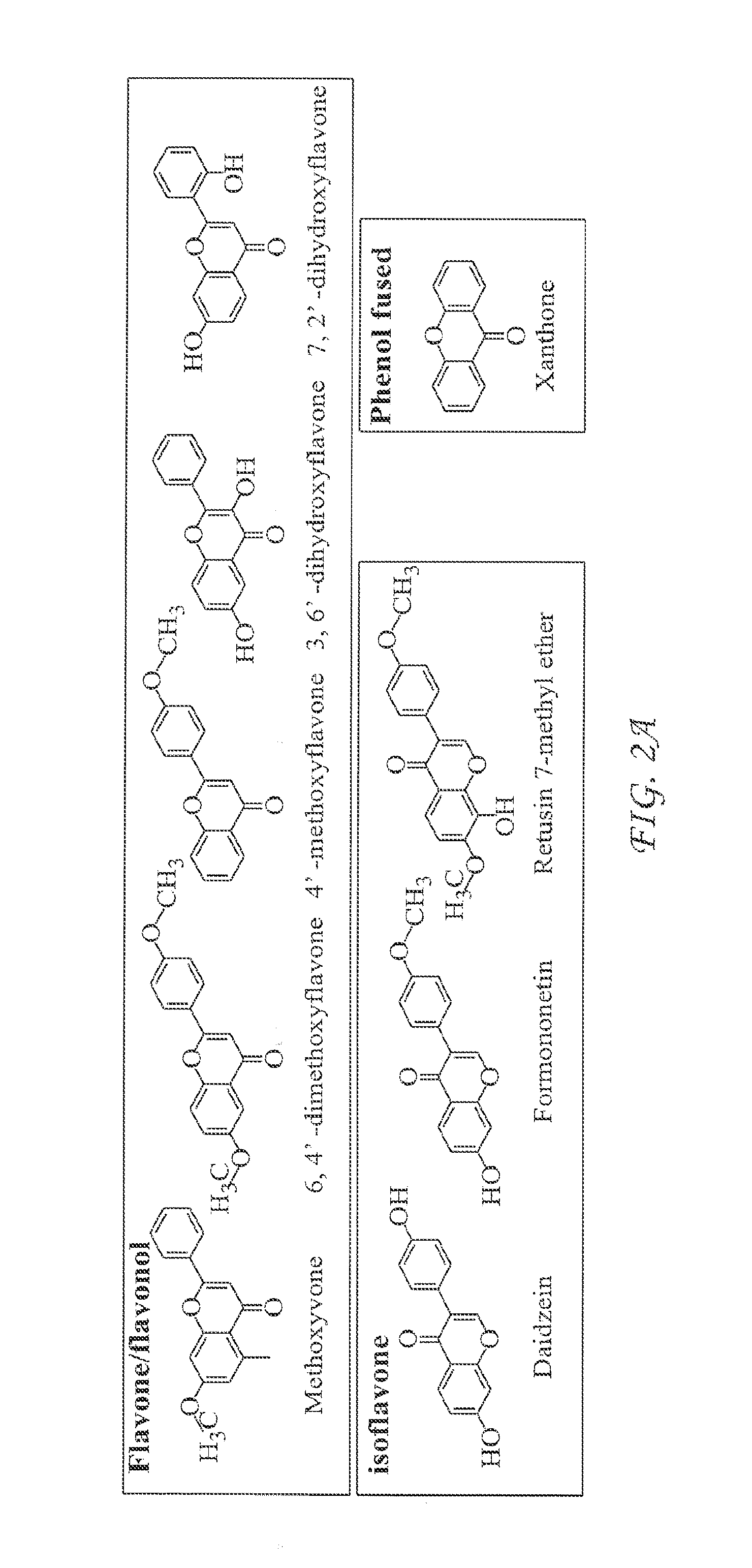 Use of sting agonists to treat hepatitis b virus infection