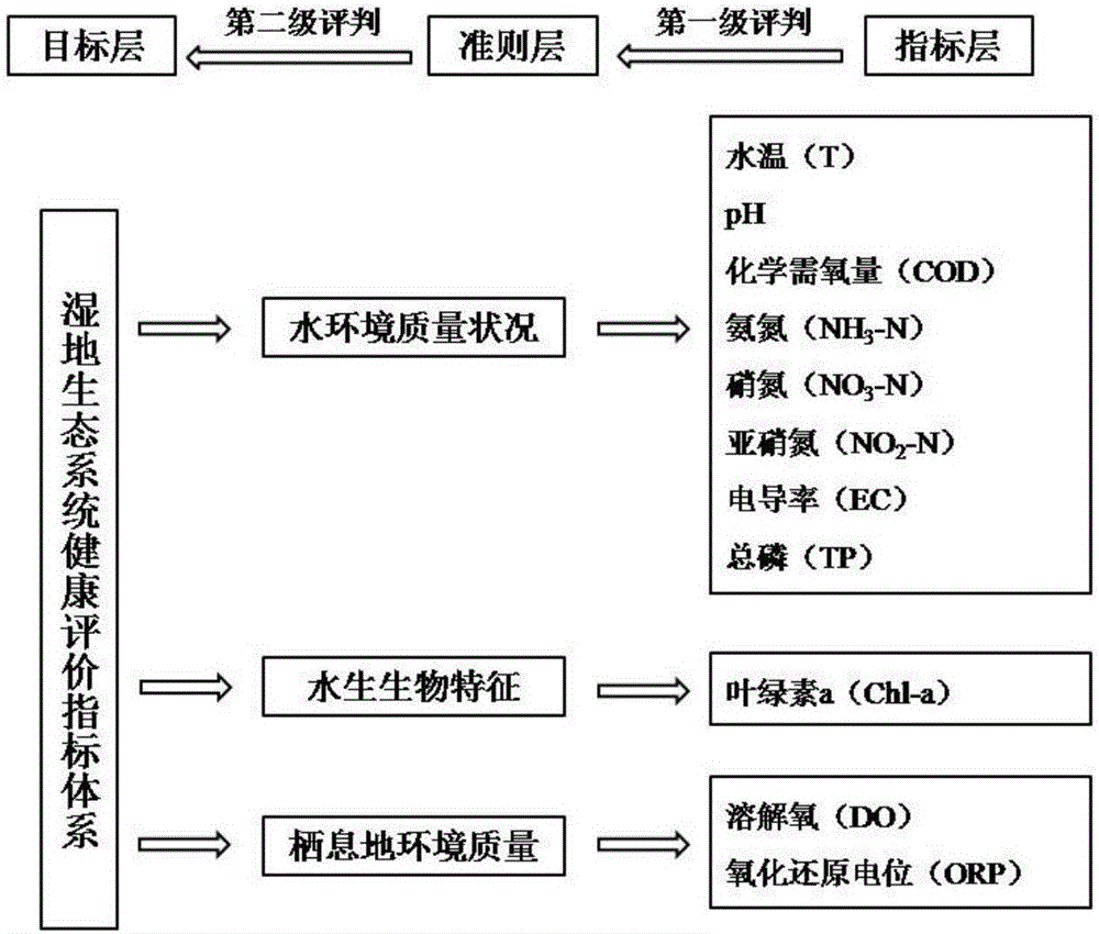 Screening and weight determining method for wetland ecosystem health evaluation index system