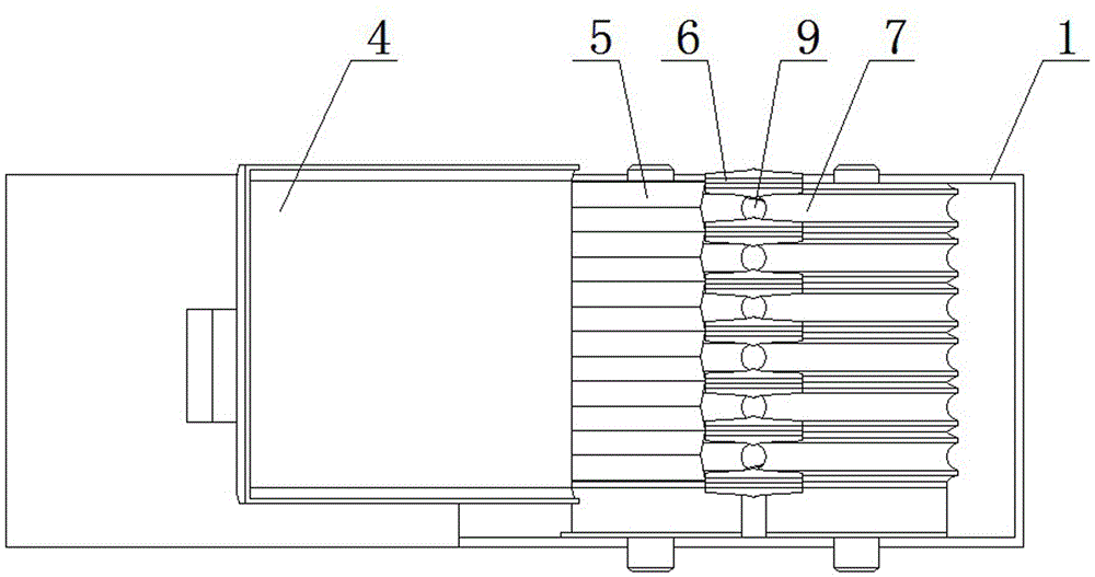 Pine nut sheller