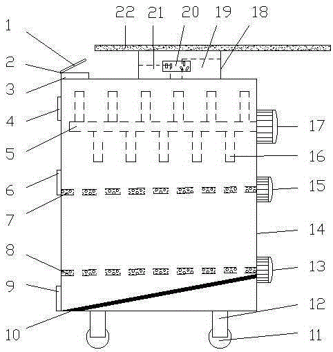 Camellia oil seed sorting machine