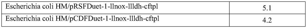 A kind of engineering bacteria and its application in the production of levodopa