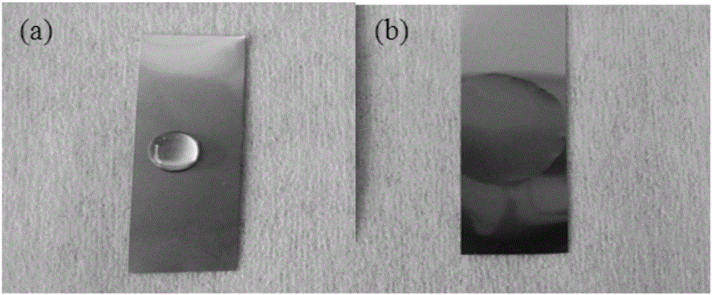 Water-based cleaning agent applied to cleaning hastelloy alloy strips and ultrasonic cleaning method