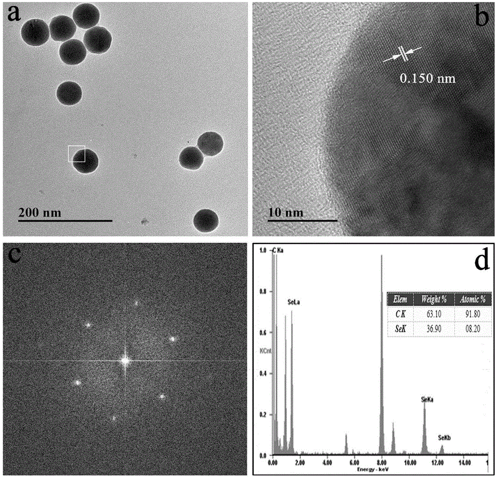 Chitosan and carboxymethyl chitosan functionalized nano selenium compound preparation method