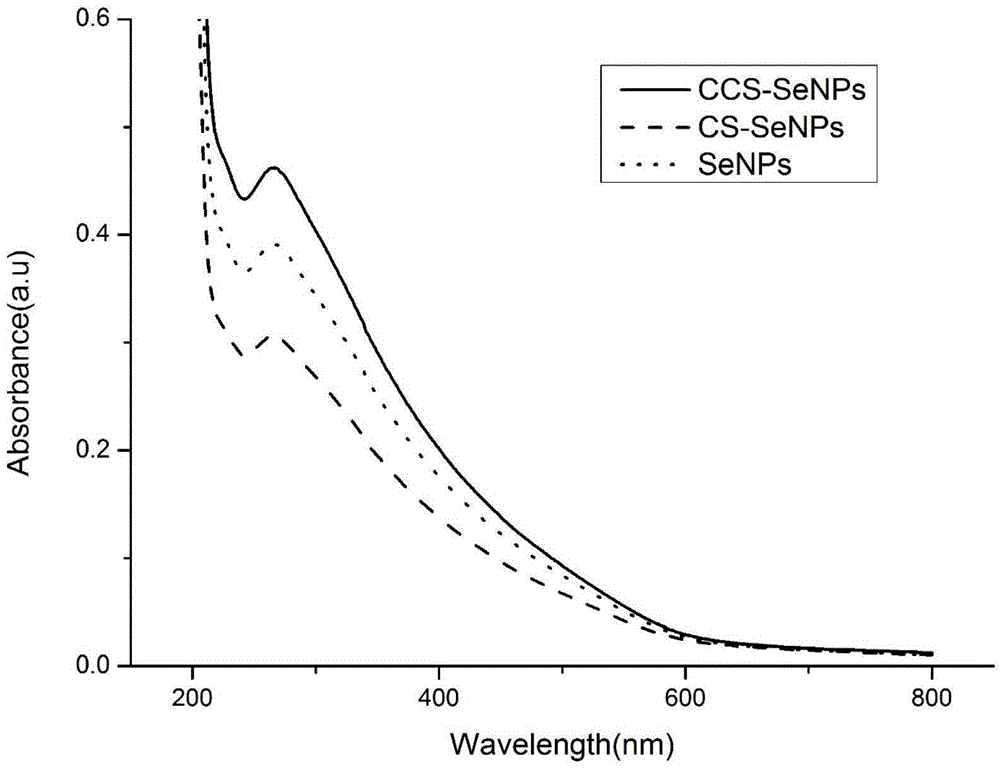 Chitosan and carboxymethyl chitosan functionalized nano selenium compound preparation method