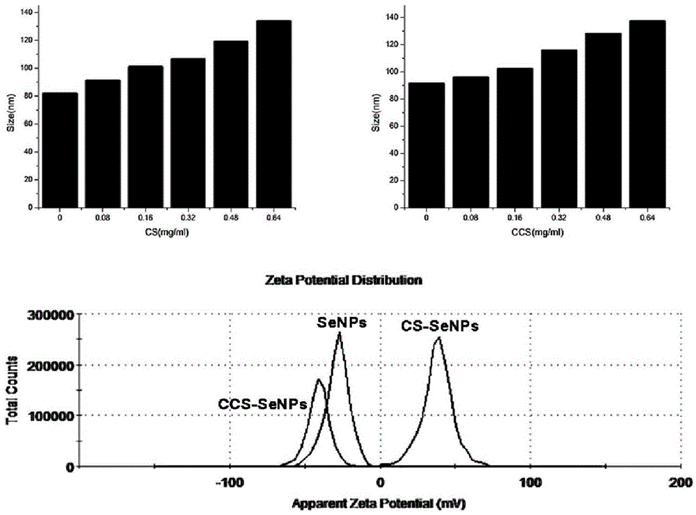 Chitosan and carboxymethyl chitosan functionalized nano selenium compound preparation method