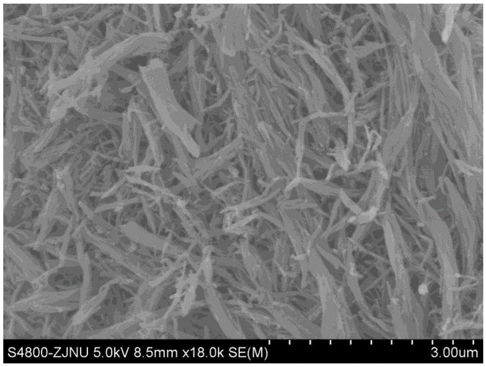 Nano fiber and preparing method thereof