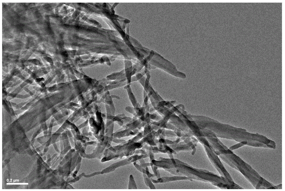 Nano fiber and preparing method thereof