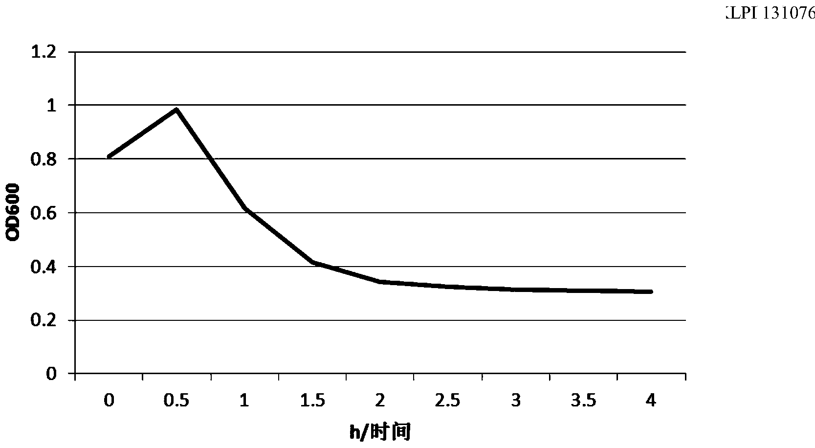 Method for preparing bacterial ghost vaccine of haemophilus parasuis as well as product and application thereof