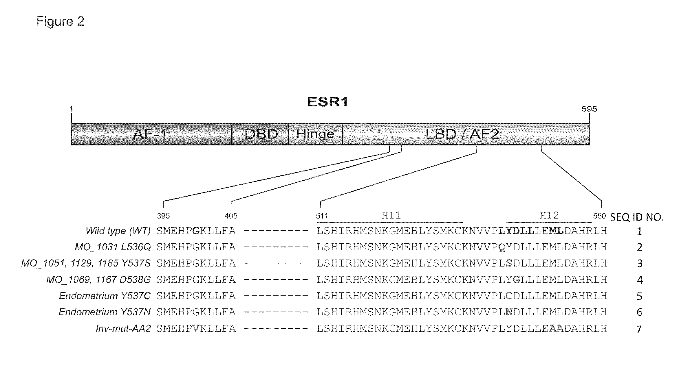 Systems and methods for determining a treatment course of action