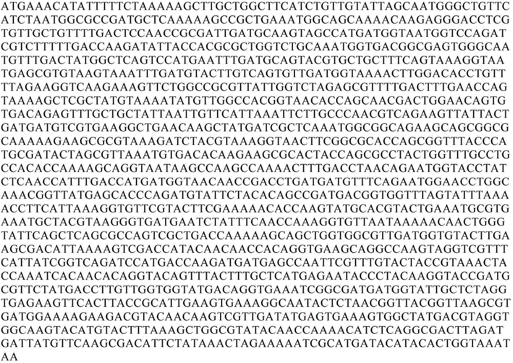 Alginate lyase gene algp and its preparation method and expression