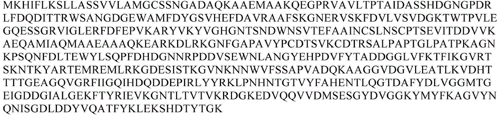 Alginate lyase gene algp and its preparation method and expression