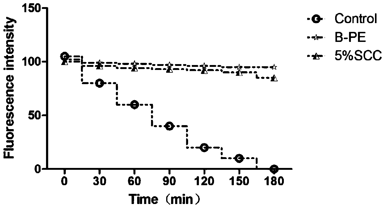 Stem cell composition containing adipose derived stem cell exogenous protein extract, preparation method of extract and application thereof