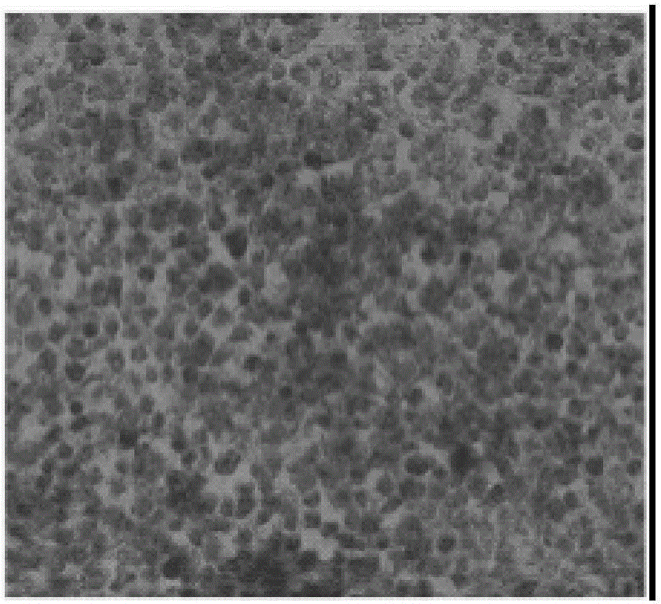 Sheep aphthous virus virulence gene vir deletion mutant strain and preparation method and application thereof