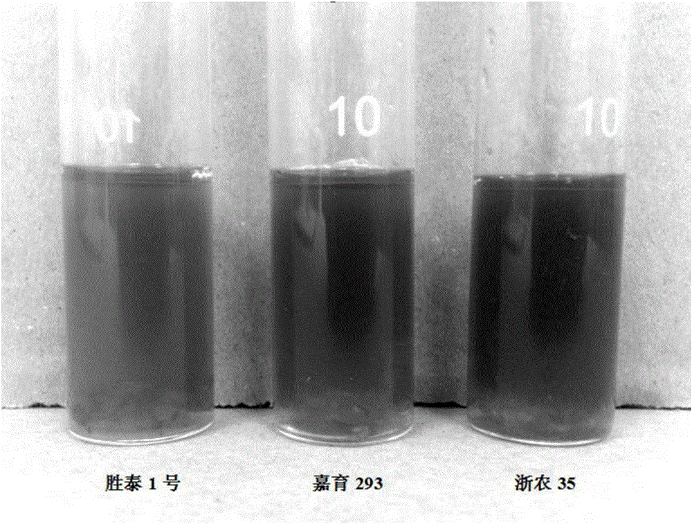 Rapid screening method for magnesium-rich rice